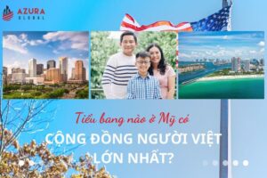 TOP 5 TIỂU BANG Ở MỸ CÓ CỘNG ĐỒNG NGƯỜI VIỆT LỚN NHẤT